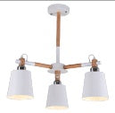 Simple Living Room Lamp Ceiling Lamp Solid Wood